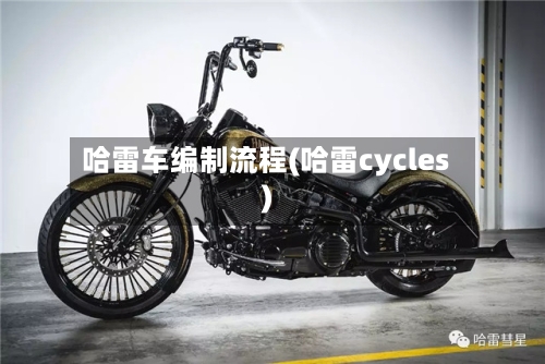 哈雷车编制流程(哈雷cycles)-第3张图片