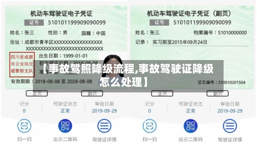 【事故驾照降级流程,事故驾驶证降级怎么处理】-第3张图片