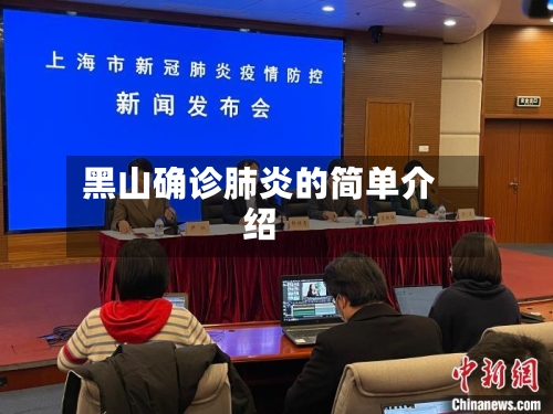 黑山确诊肺炎的简单介绍-第3张图片