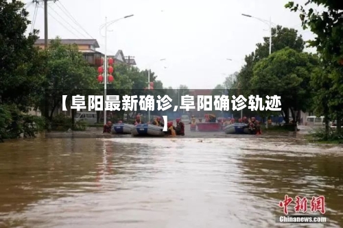 【阜阳最新确诊,阜阳确诊轨迹】-第3张图片