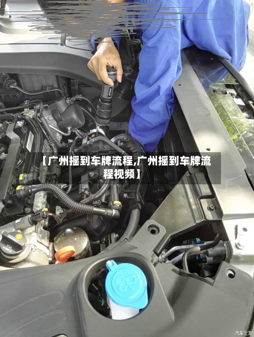 【广州摇到车牌流程,广州摇到车牌流程视频】-第2张图片