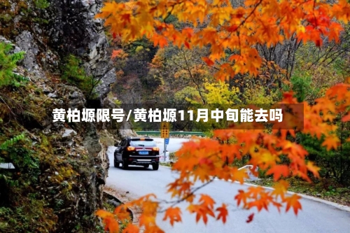 黄柏塬限号/黄柏塬11月中旬能去吗-第2张图片
