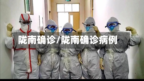 陇南确诊/陇南确诊病例