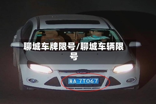 聊城车牌限号/聊城车辆限号-第3张图片