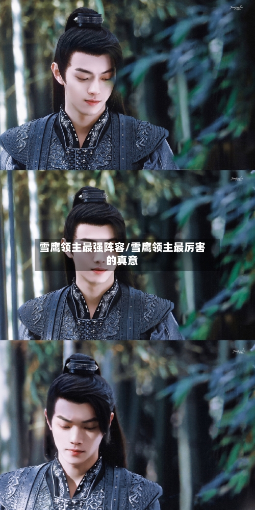 雪鹰领主最强阵容/雪鹰领主最厉害的真意