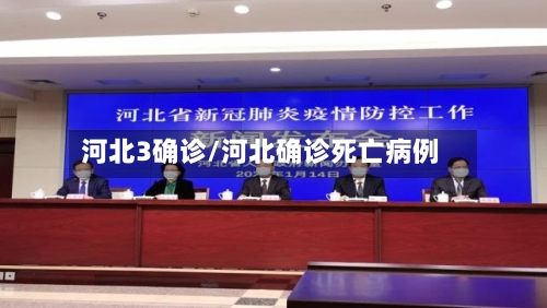 河北3确诊/河北确诊死亡病例-第2张图片