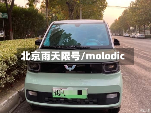 北京雨天限号/molodic-第2张图片