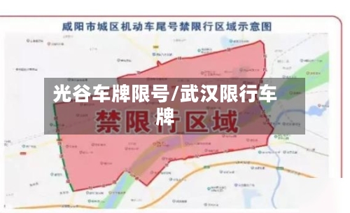 光谷车牌限号/武汉限行车牌-第3张图片