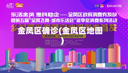 金凤区确诊(金凤区地图)