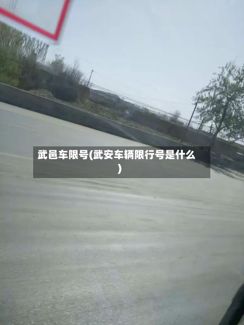 武邑车限号(武安车辆限行号是什么)-第2张图片
