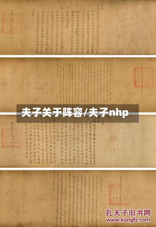 夫子关于阵容/夫子nhp-第3张图片