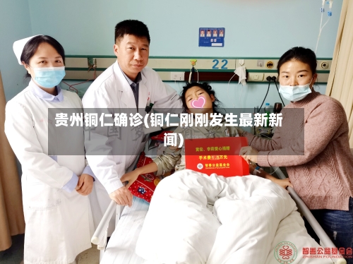贵州铜仁确诊(铜仁刚刚发生最新新闻)-第2张图片