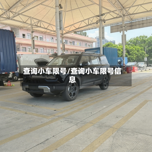查询小车限号/查询小车限号信息