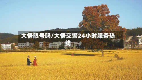 大悟限号吗/大悟交警24小时服务热线-第2张图片