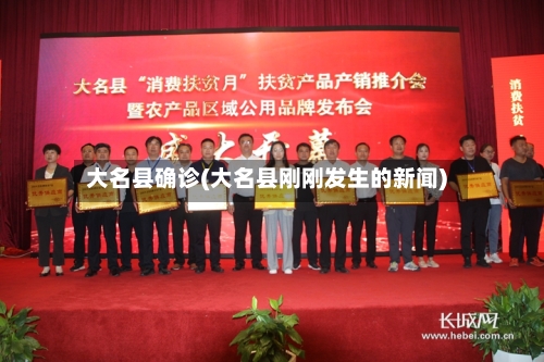 大名县确诊(大名县刚刚发生的新闻)