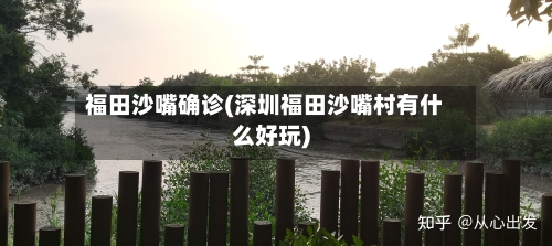 福田沙嘴确诊(深圳福田沙嘴村有什么好玩)