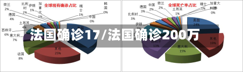 法国确诊17/法国确诊200万