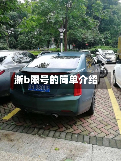 浙b限号的简单介绍-第3张图片