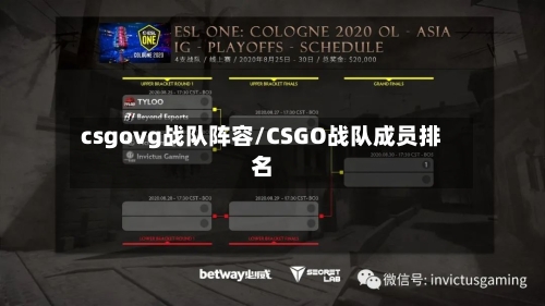 csgovg战队阵容/CSGO战队成员排名-第3张图片