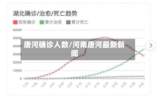 唐河确诊人数/河南唐河最新新闻-第2张图片