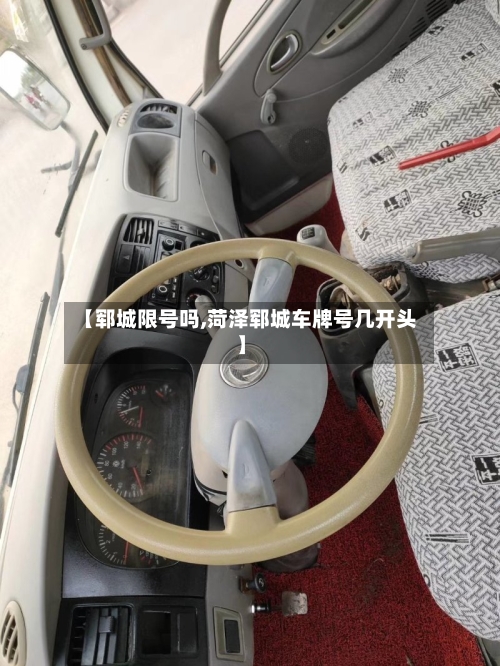【郓城限号吗,菏泽郓城车牌号几开头】-第2张图片