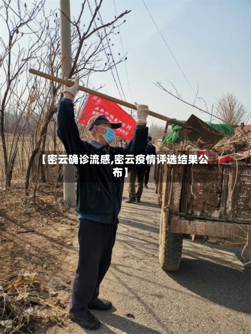 【密云确诊流感,密云疫情评选结果公布】-第2张图片