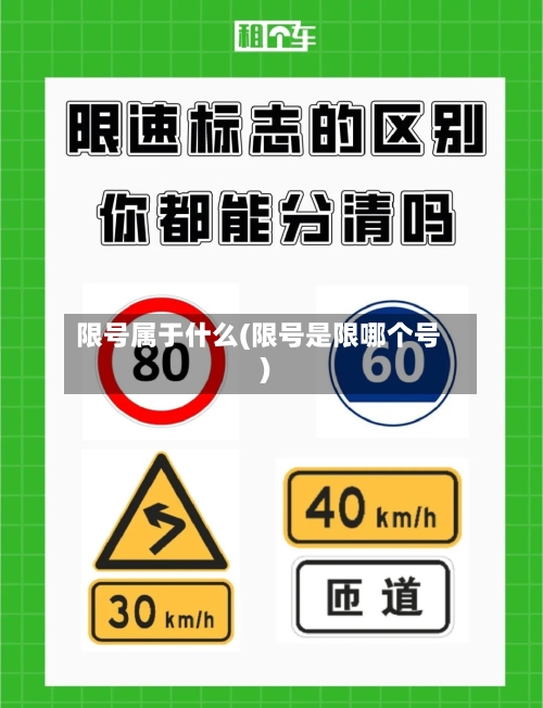 限号属于什么(限号是限哪个号)
