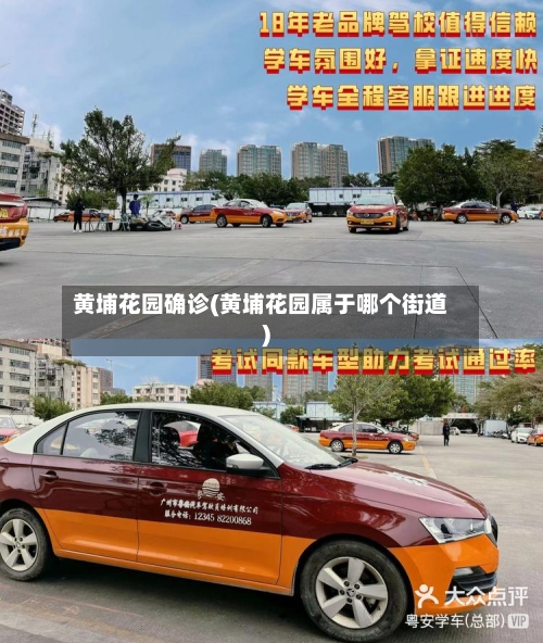 黄埔花园确诊(黄埔花园属于哪个街道)-第2张图片