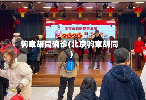 驹章胡同确诊(北京驹章胡同)