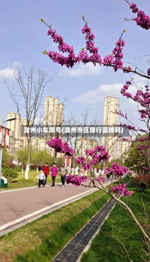 滁州小车限号(滁州市区限行蓝牌吗)