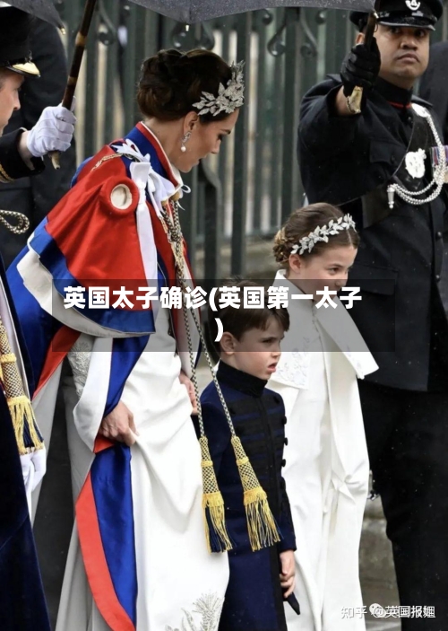 英国太子确诊(英国第一太子)