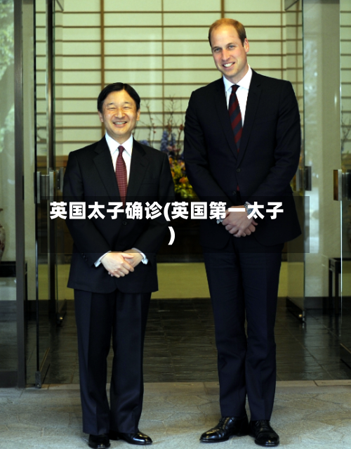 英国太子确诊(英国第一太子)-第2张图片