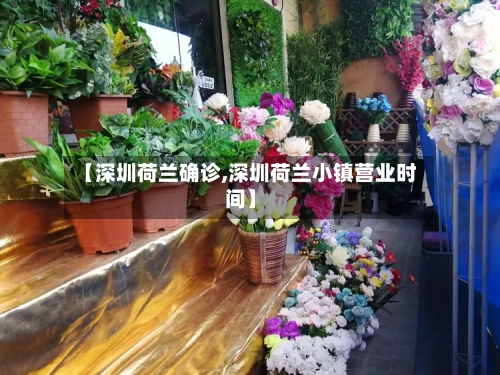 【深圳荷兰确诊,深圳荷兰小镇营业时间】-第3张图片