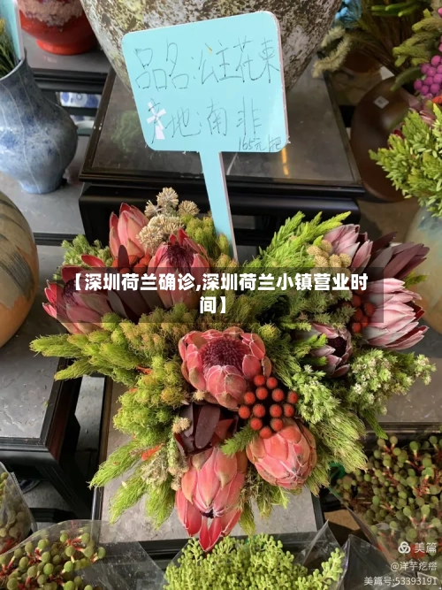 【深圳荷兰确诊,深圳荷兰小镇营业时间】