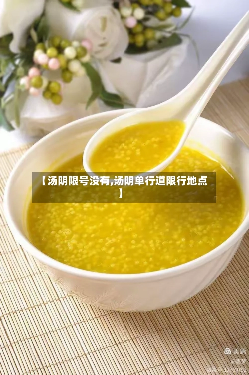 【汤阴限号没有,汤阴单行道限行地点】-第3张图片