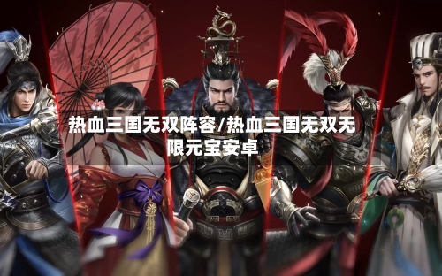 热血三国无双阵容/热血三国无双无限元宝安卓