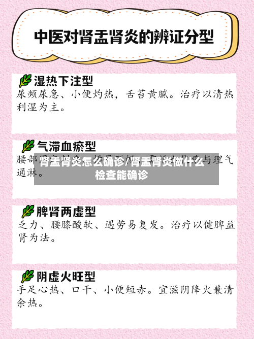 肾盂肾炎怎么确诊/肾盂肾炎做什么检查能确诊-第2张图片