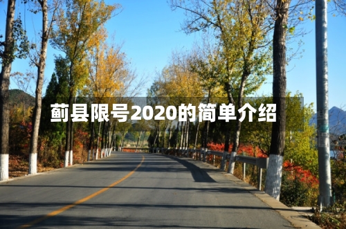 蓟县限号2020的简单介绍