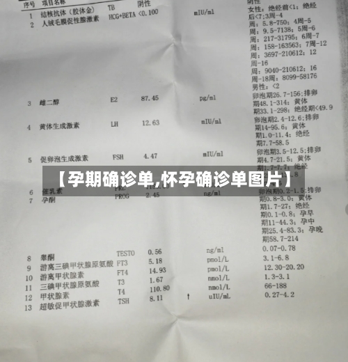 【孕期确诊单,怀孕确诊单图片】