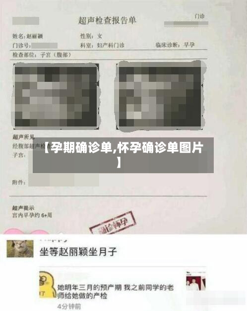 【孕期确诊单,怀孕确诊单图片】-第2张图片