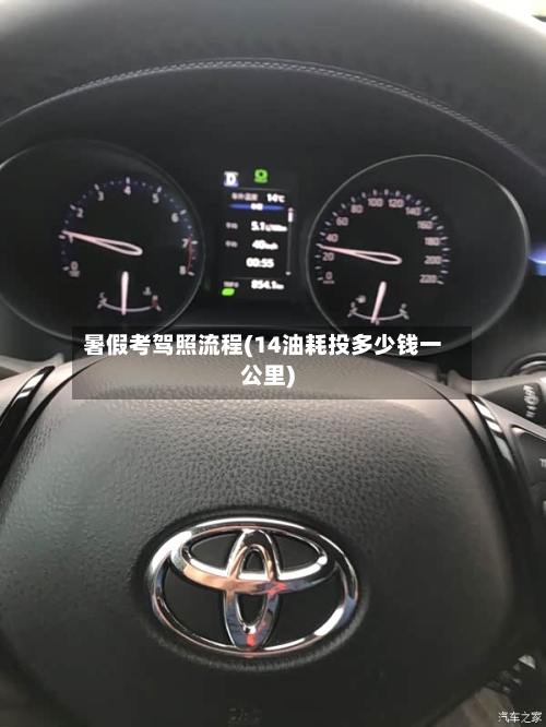 暑假考驾照流程(14油耗投多少钱一公里)