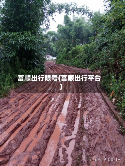 富顺出行限号(富顺出行平台)