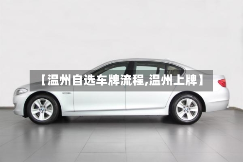 【温州自选车牌流程,温州上牌】