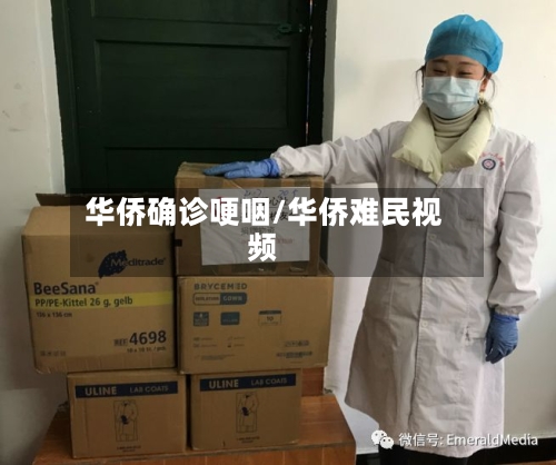 华侨确诊哽咽/华侨难民视频-第2张图片