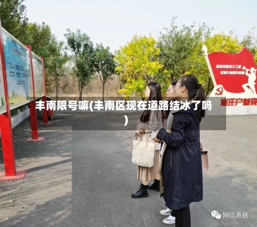 丰南限号嘛(丰南区现在道路结冰了吗)-第2张图片