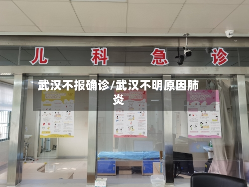 武汉不报确诊/武汉不明原因肺炎-第3张图片