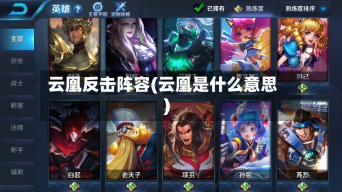 云凰反击阵容(云凰是什么意思)
