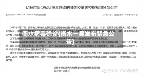 衡水病毒确诊(衡水一县发布紧急公告)