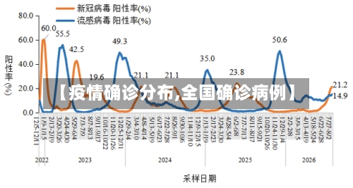 【疫情确诊分布,全国确诊病例】-第2张图片