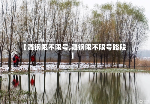 【舞钢限不限号,舞钢限不限号路段】-第2张图片